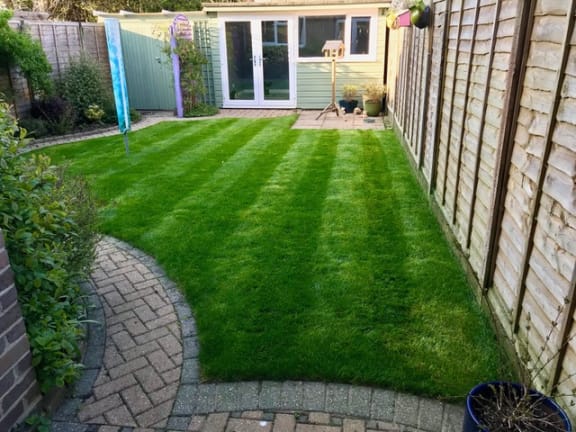 garden turfing services in buckinghamshire